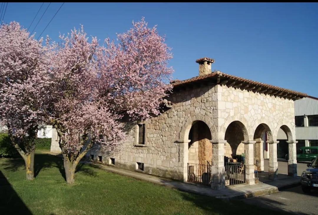 Bodega de Bodegas Perlovin en Burgos